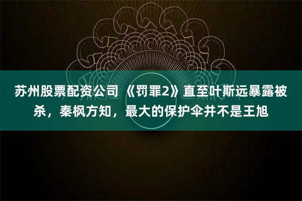 苏州股票配资公司 《罚罪2》直至叶斯远暴露被杀，秦枫方知，最大的保护伞并不是王旭